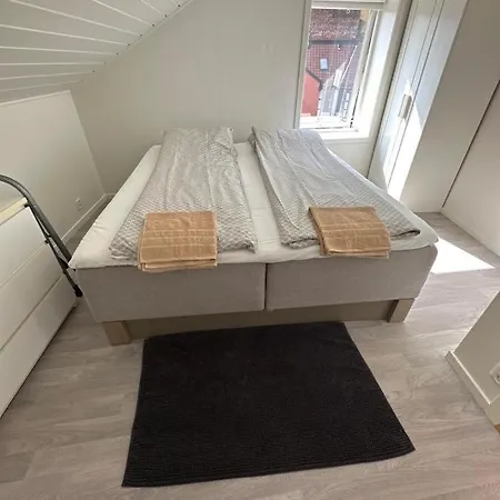 公寓 Loft Lounge 奥斯陆